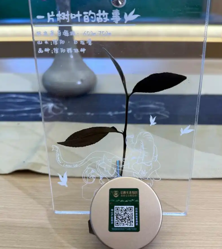 信阳毛尖“电子身份证” 引领产业数字化升级