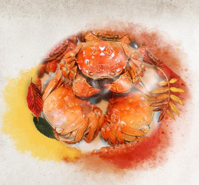 一蟹一码，守护舌尖上的正宗滋味