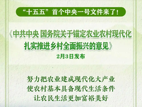 “十五五”首个中央一号文件来了！