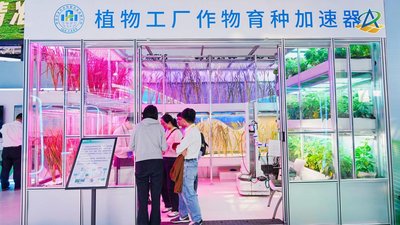【追溯知识】商品“数字身份证”，守护品牌信任与消费安全